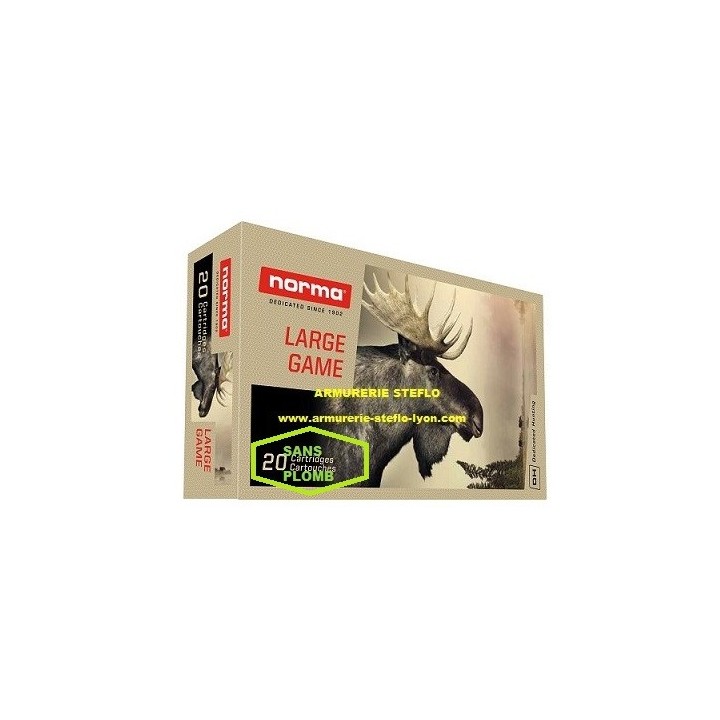 Norma Ecostrike 9,3x74R - 14,9g/230grs - (x20)