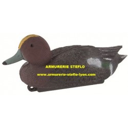 Appelant canard siffleur mâle