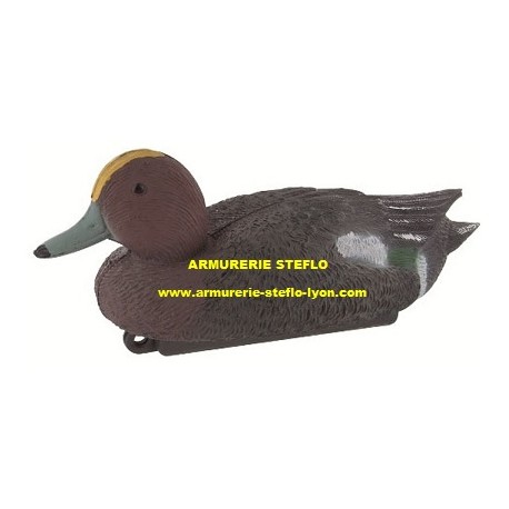 Appelant canard siffleur mâle