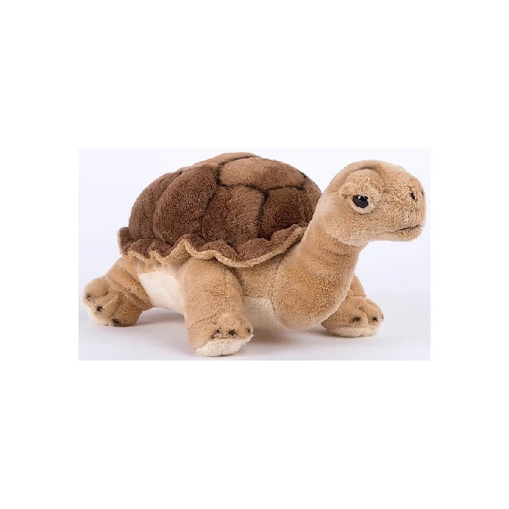 Peluche Tortue - 21cm
