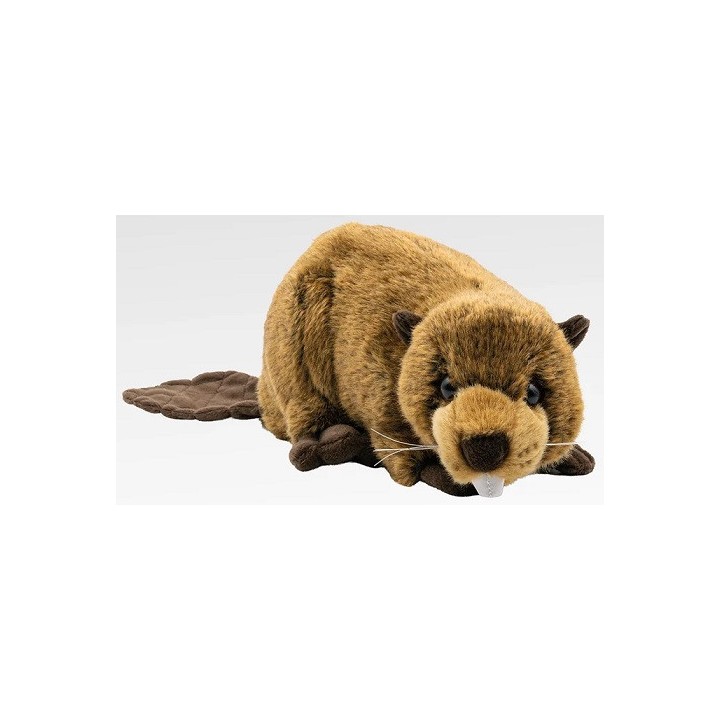 Peluche  Castor - 25cm