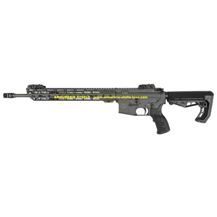 L'Alpen Arms STG15CP - bien plus qu'une simple Carabine