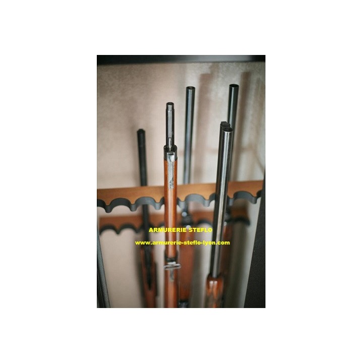 INFAC Coffre Sentinel SD16 - 16 armes avec lunette + coffre intérieur