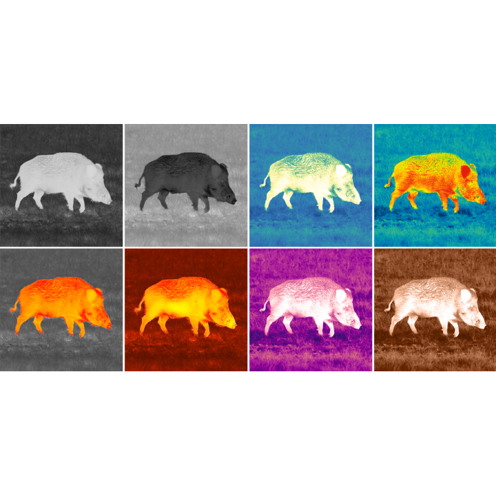 Axion 2 XQ30 Pro - Capteur imagerie thermique - Pulsar | Steflo