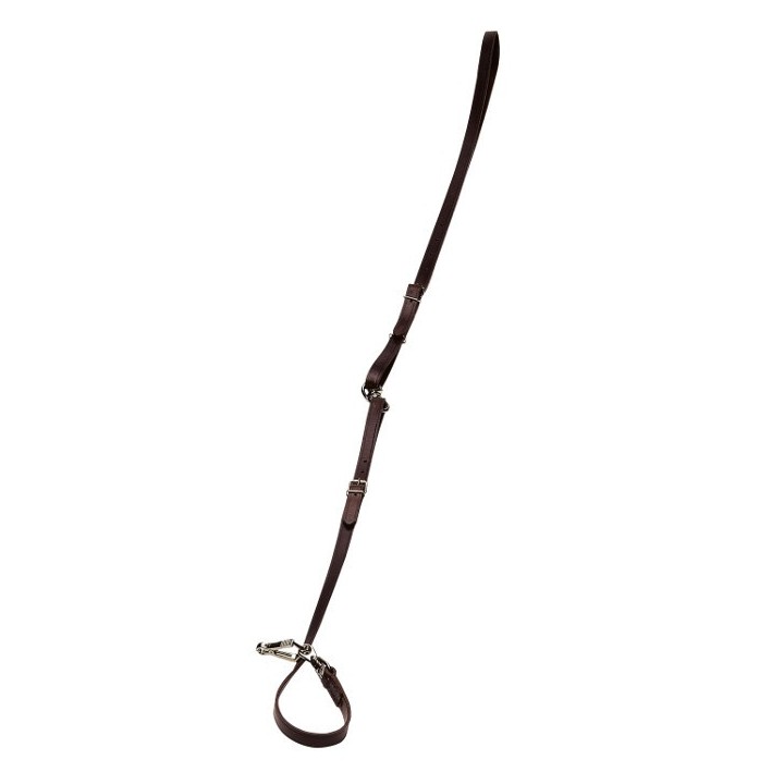 Laisse dressage multi-positions - 16mm