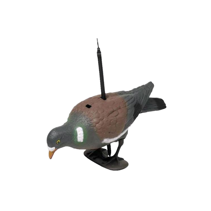 Appelant pigeon au posé - 38cm