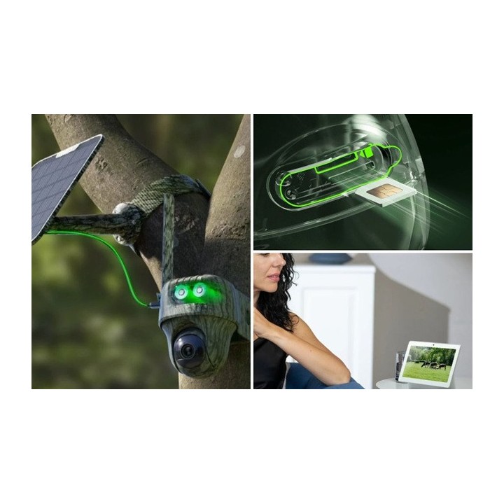 Piège photo Reolink G450 - camo + panneau solaire