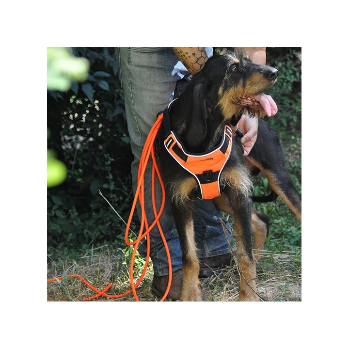 Longe Xtreme tubulaire PVC - Orange - 5m - 8mm - Canihunt