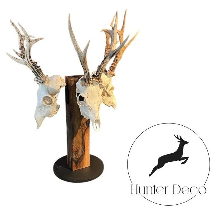 Support trophée piédestal en noyer pour 3 brocards/chamois