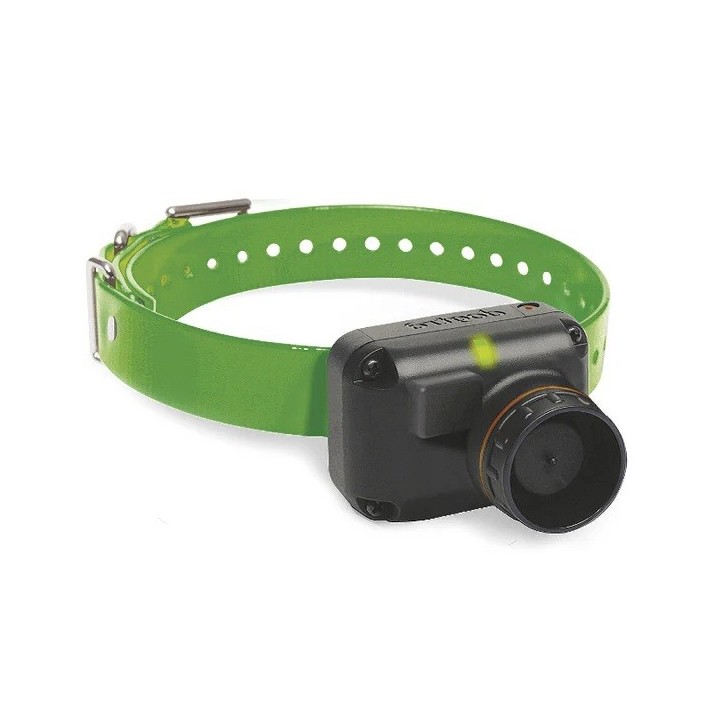 Dogtra - Collier supplémentaire - 2600 T&B