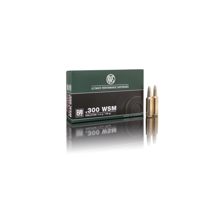 300wsm evolution-rws-armurerie-steflo