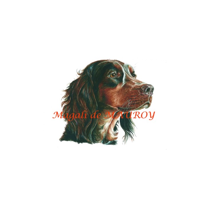 Magali de Mauroy Reproductions numérotées - Epagneul picard
