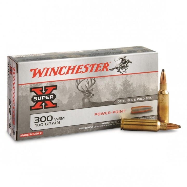 Winchester - 300WSM - Power Point - 180grs-armurerie-steflo