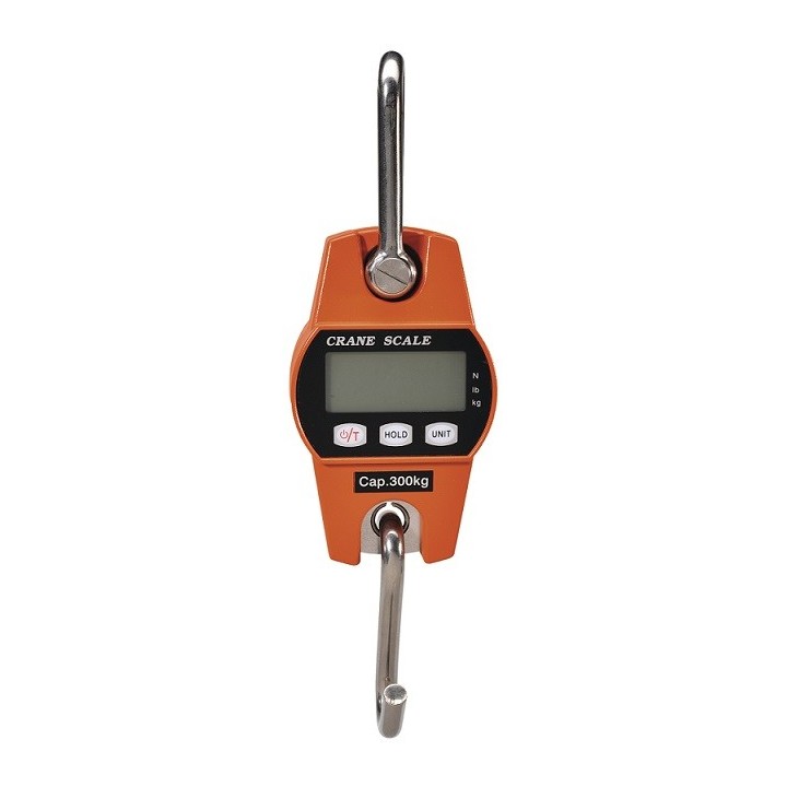 Peson électronique 300kg