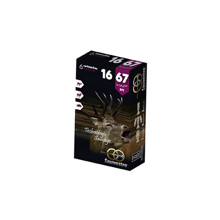 sauvestre 16-67-munitions-armurerie-steflo